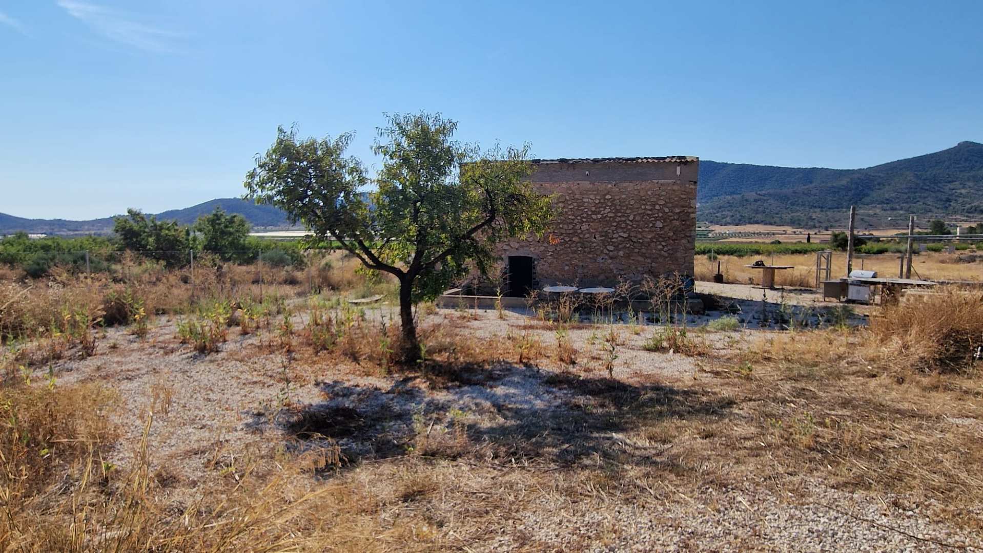 WhatsApp Image 2026-09-10 at 15.10.19 (1) (Custom) Finca-HV370
