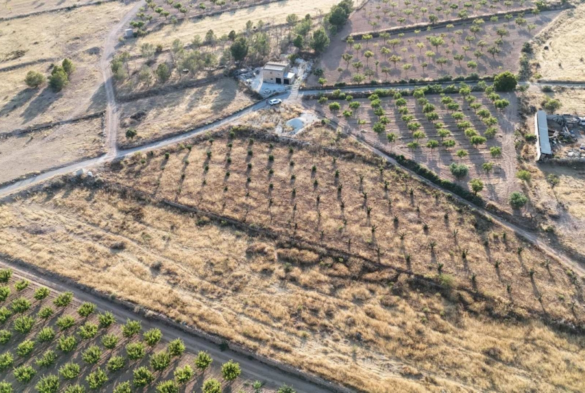 Finca-HV370