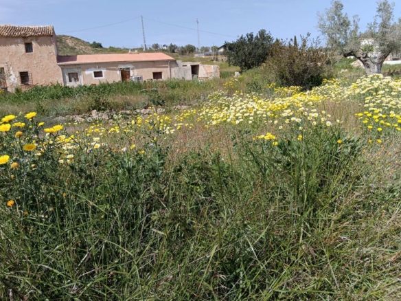 Finca-HV379