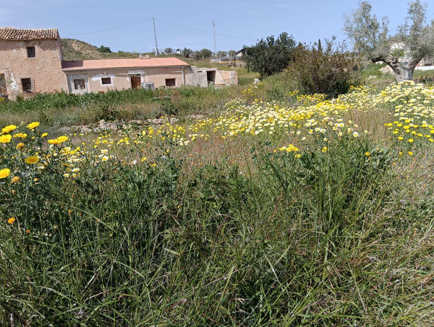 Finca-HV379