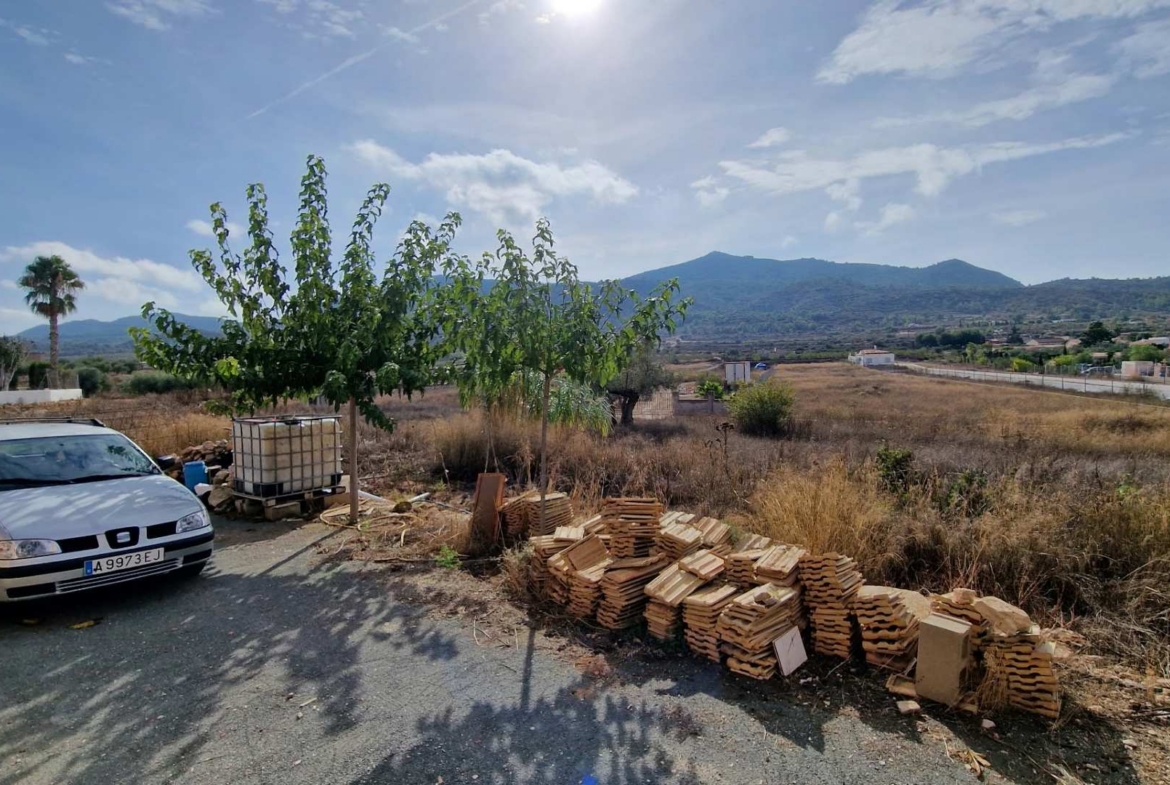 Finca-HV379