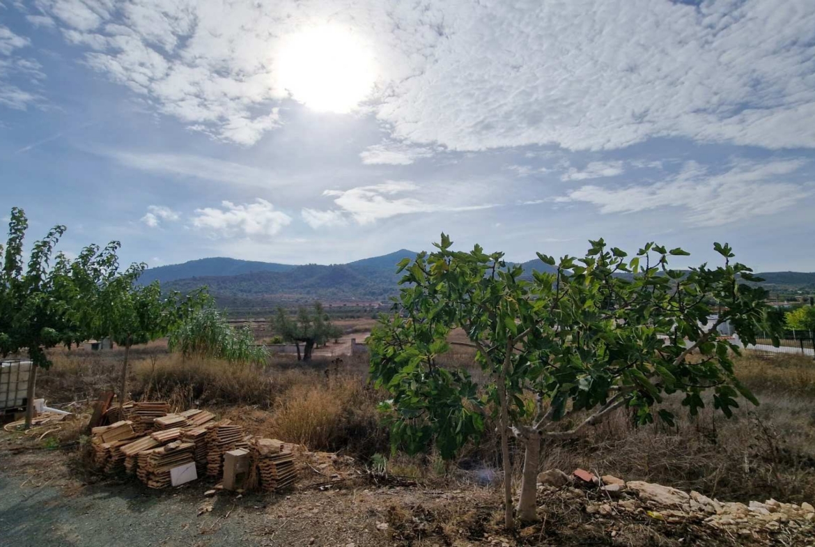 Finca-HV379